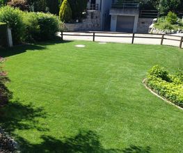 Schefer's Garten GmbH Bild 9