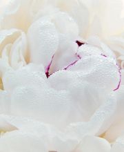 Salon de Beautè Betty Kern