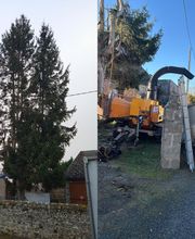 MD Saintrapt image 2