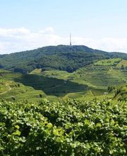 Hotel Landgasthof Sonne Bild 1