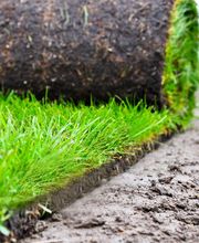 Rollrasen - Henning Hagedorn Bild 2