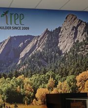 Green Tree Boulder image 2
