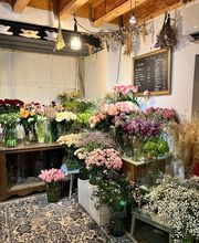 Fleurs Et Tralala! image 2