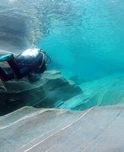 Wild Dodo Sàrl, séjour plongée