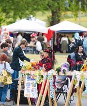 Silver Sage Renaissance Festival image 15