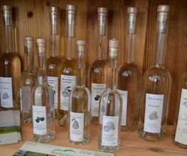 Weinbauer Michael Zinner Bild 1