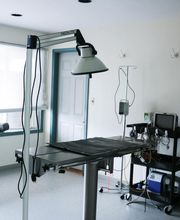 Dublin Veterinary Hospital image 14