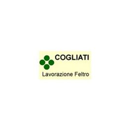 Cogliati Feltri logo