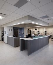 NWO Orthopedics and Sports Medicine image 1