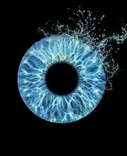 Studio Lichtwert Bild 4