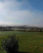 Bianchini EARL image 11