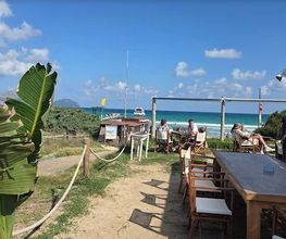 pierinobeach1.jpg