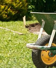 Hébert Bruno image 1