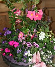 Blumen Joos GmbH Bild 2