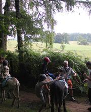 La Ferme De La Bitarelle image 5