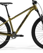 PREMIUM BIKE - LOCARNO Bild 3