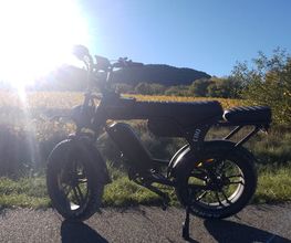 LM FatBikes image 3