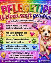 Fellzauber Bild 5