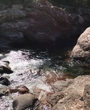 Wisler Brigitte image 6