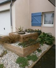 Fougère Bleue La image 3