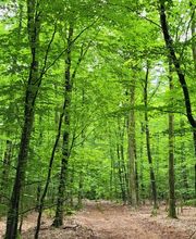 FriedWald Ostfriesland Bild 3