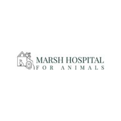 Marsh Hospital For Animals