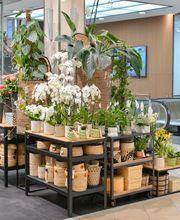 Fleuriot centre Manor Vevey Bild 5