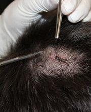 Centre de médecine générale des Sources Bild 2