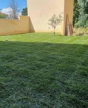 Pommier SARL image 8