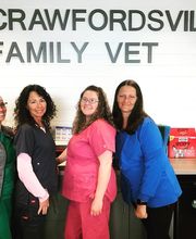 Crawfordsville Family Vet image 20