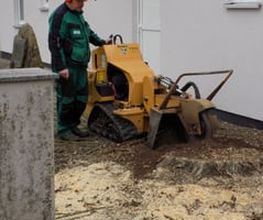 Gartenservice Stolz Bild 2