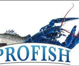 Profish image 6