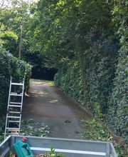 Park Glas Services image 12