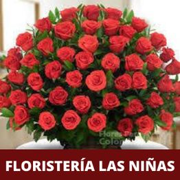 floristeria-las-ninas-logo.png