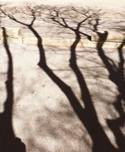 STUDIO PHOTO - 372dpi gmbh Bild 8