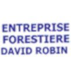 ROBIN DAVID