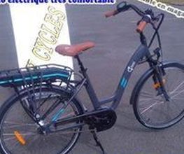 BV Cycles image 6