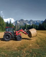 Eckardt Alexander Bild 10