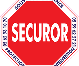 SECUROR image 4
