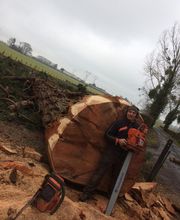 Duhautoy David image 1