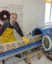 Teppichwäscherei Barsbüttel Bild 5