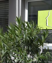 Dr.Franze GmbH Bild 3