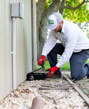 Natura Pest Control image 5