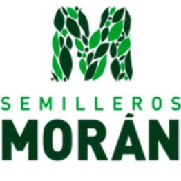 Semilleros_Moran_Puebla_de_la_Calzada_Badajoz.jpg