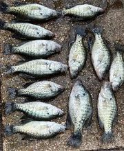 Point View Resort image 2