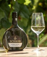Weingut Thomas und Martin Schwab Bild 11