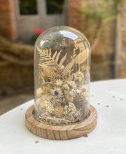 les fleurs d'Hortensia image 6