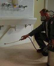 Hygiène et Dératisation d'Auvergne image 8