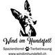 Wind im Hundefell