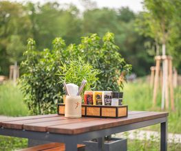 PETER PANE Burgergrill & Bar Bild 6